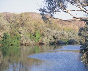 Alligator Hole - New Castle Holiday 0