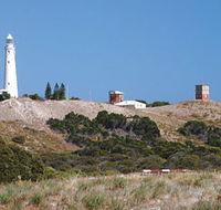 Wadjemup Lighthouse - New Castle Holiday