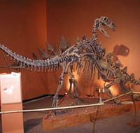 Denmark Dinosaur World - New Castle Holiday