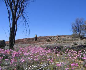 Burran Rock WA New Castle Holiday