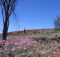 Talgomine Reserve - New Castle Holiday