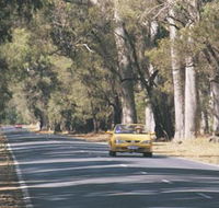 Ludlow Tuart Forest - New Castle Holiday