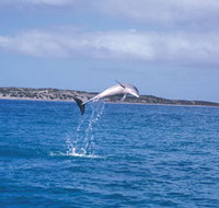 Steep Point - New Castle Holiday