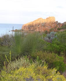 Meelup Trail - New Castle Holiday 0