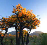 Cape Le Grand National Park - New Castle Holiday