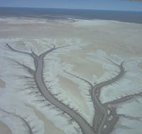 Tidal Flats - New Castle Holiday