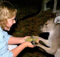 Discovery Bay's Walk on the Wild Side - New Castle Holiday