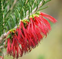 Ethel Daw Scenic Drive - New Castle Holiday