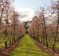 Raeburn Orchards - New Castle Holiday