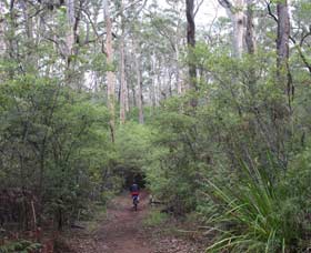 Margaret River Rails Trail - New Castle Holiday 0