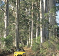 Scotsdale Tourist Drive - New Castle Holiday