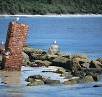 Whalers Beach - New Castle Holiday