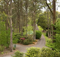 Mount Lofty Botanic Garden - New Castle Holiday