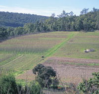 Darling Range - New Castle Holiday