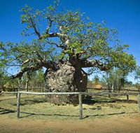 Pigeon Heritage Trail - New Castle Holiday