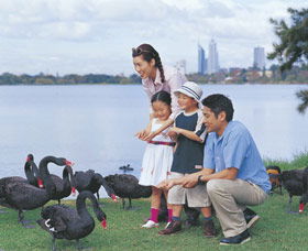 Lake Monger - New Castle Holiday 0