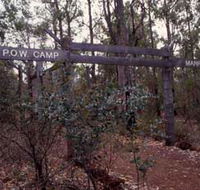Marrinup Trail Dwellingup - New Castle Holiday