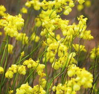 Mount Madden Scenic Drive - New Castle Holiday