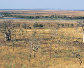 Telegraph Hill - New Castle Holiday 0