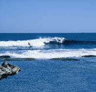 West End - New Castle Holiday