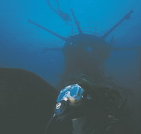 Swan Dive Wreck - New Castle Holiday