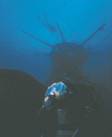 Swan Dive Wreck - New Castle Holiday 0