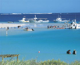 Bill's Bay - New Castle Holiday 0