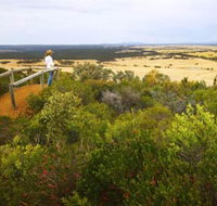 Archer Drive Scenic Drive and Lookout - New Castle Holiday