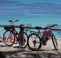 Parker Point Marine Snorkel Trail - New Castle Holiday