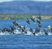 Ord River - New Castle Holiday