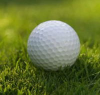 Collier Park Golf Course - New Castle Holiday