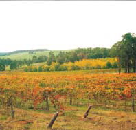 Byramgou Park - New Castle Holiday