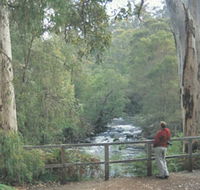 Cascades - New Castle Holiday