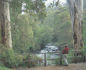 Cascades - New Castle Holiday 0