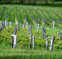 Sienna Estate Winery - New Castle Holiday