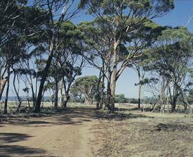 Lake Dumbleyung - New Castle Holiday 0
