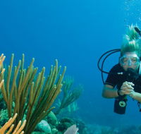 Coastal Water Dive - New Castle Holiday