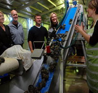 Eyre Peninsula's Seafood Trail - New Castle Holiday