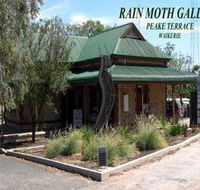 Rain Moth Gallery - New Castle Holiday