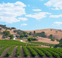 Bethany Wines - New Castle Holiday
