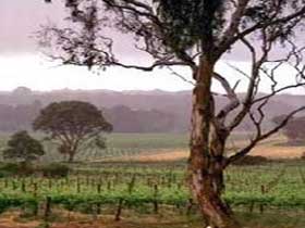 Ashbourne SA New Castle Holiday