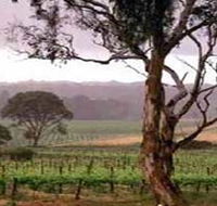 Yangarra Estate Vineyard - New Castle Holiday