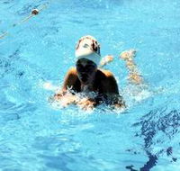 Mount Gambier Aquatic Centre - New Castle Holiday