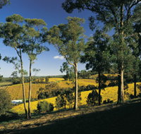 Lobethal Archives And Historical Museum - New Castle Holiday