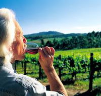 Ashton Hills Vineyard - New Castle Holiday