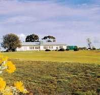 Lucindale Country Club - New Castle Holiday