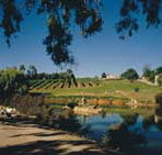 Mount Hurtle Winery home of Geoff Merrill Wines - New Castle Holiday