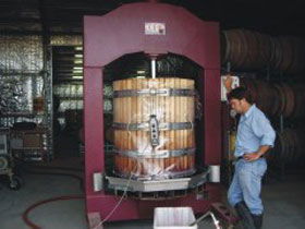 St Marys Wines - New Castle Holiday 0