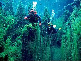 Port Macdonnell SA New Castle Holiday