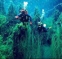 Ewens Ponds Conservation Park - New Castle Holiday